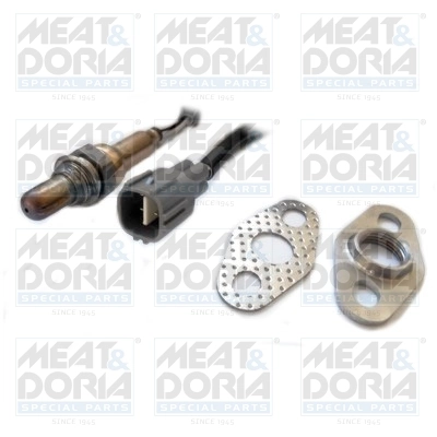 Oxygen Sensor